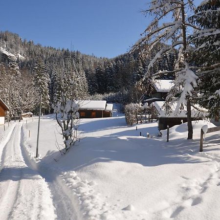 Apartament Kreiers Alp Hohenems Zewnętrze zdjęcie