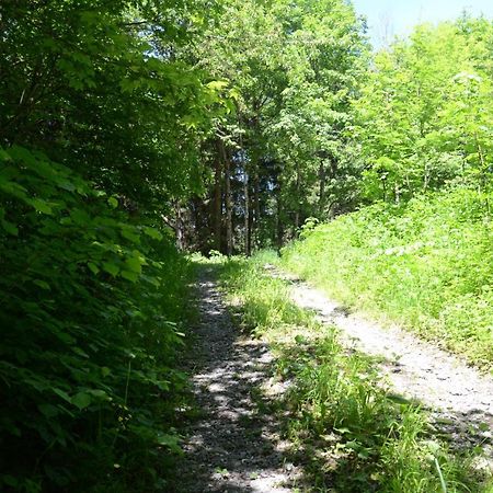 Apartament Kreiers Alp Hohenems Zewnętrze zdjęcie