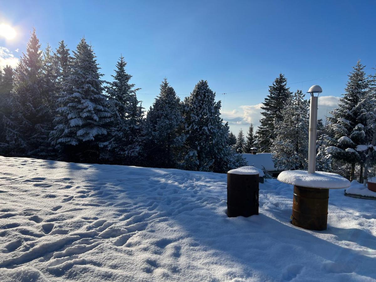 Apartament Kreiers Alp Hohenems Zewnętrze zdjęcie